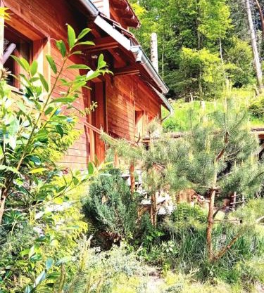 Domaine les lodges nature ,private wellness