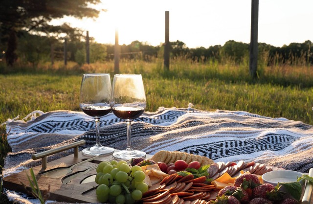 Dome #5 - Dome Haven Glamping - South Haven