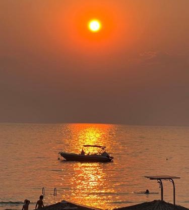 DORA'S HOUSE Douneika