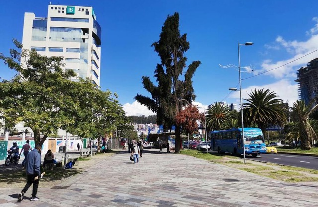 Dormitorio Independiente
