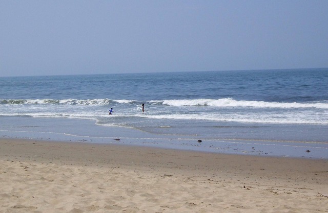 Dorrance Way Cottage By the Sea