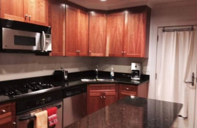 Downtown Ann Arbor Luxurious Condo