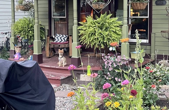 Downtown BnB King Bed Clawfoot Tub & Hot Tub