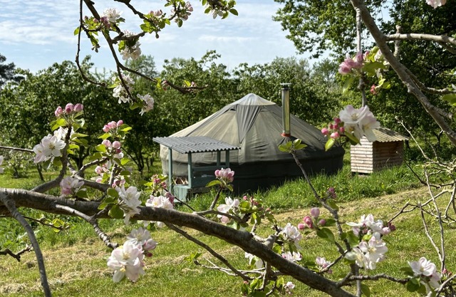 Dragon Orchard Retreat