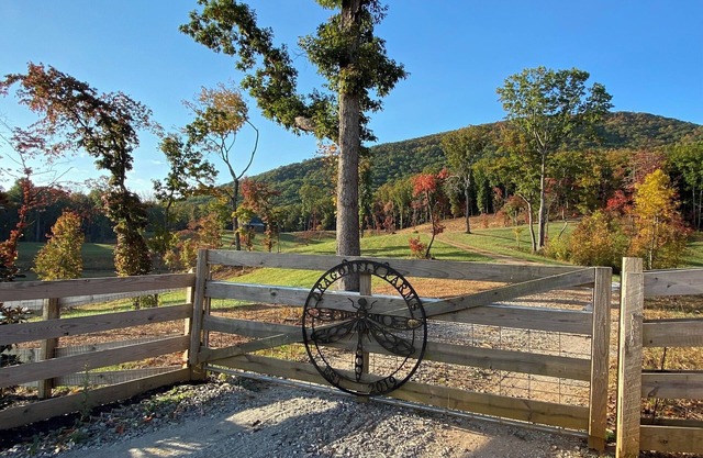 Dragonfly Farms - North Georgia Mountains Farm Retreat featuring Highland Cows