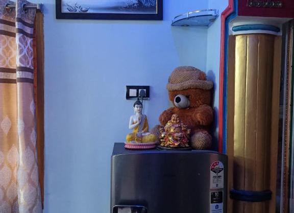 DT HOMESTAYS(FULL FURNISHED ENTIRE DOUBLE BEDROOM DUPLEX HOUSE)