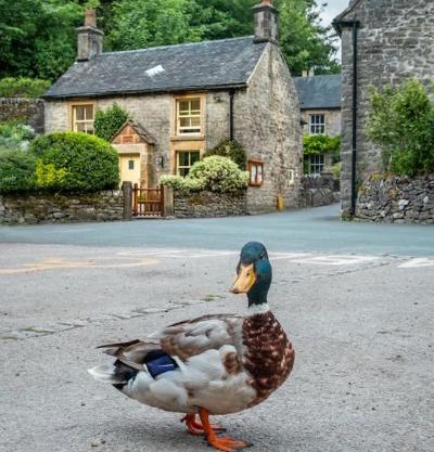 Duck Cottage Milldale Alstonefield Peak District