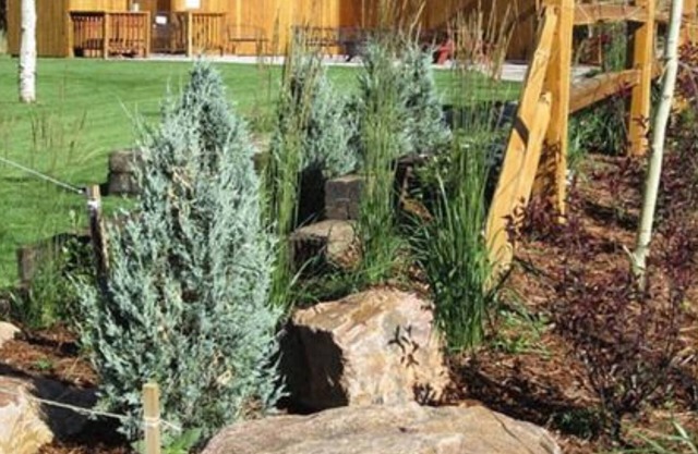 Eagle Fire Lodge & Cabins