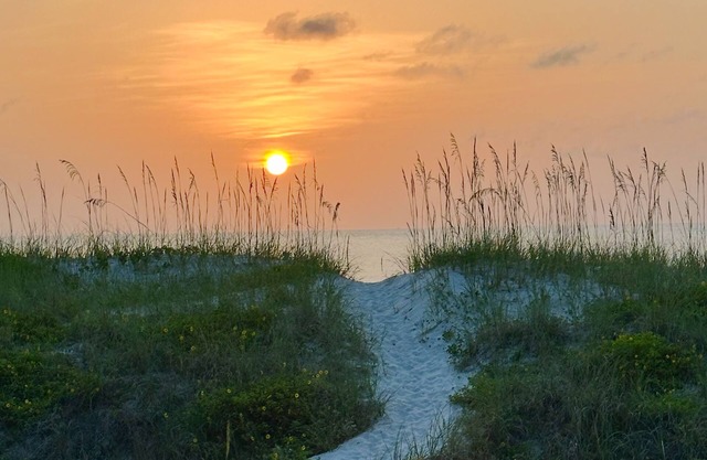 Easy Breezy Oceanfront ground floor condo in amazing Jax Beach, near Mayo