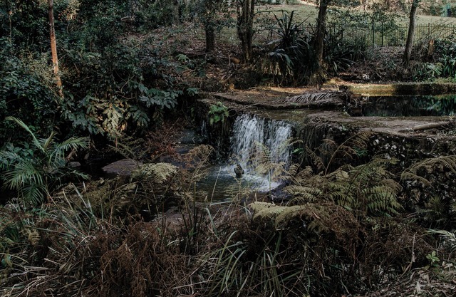 Edges by St Benards Hotel