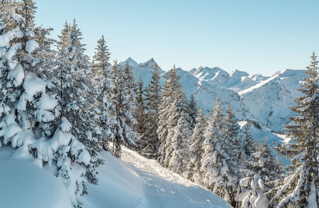 Einstein - Landhaus Stocka