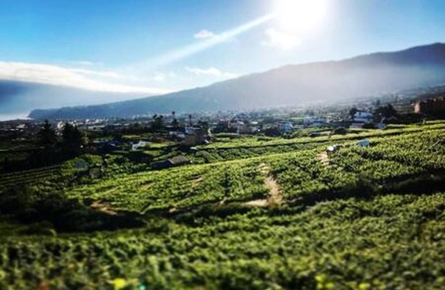 EL LAGAR RURAL HOUSE -