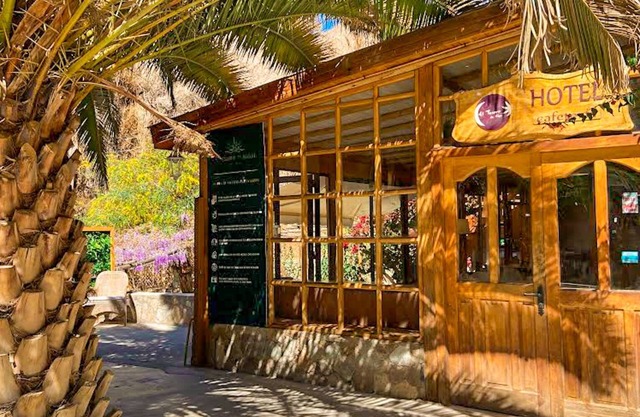 El Tesoro de Elqui
