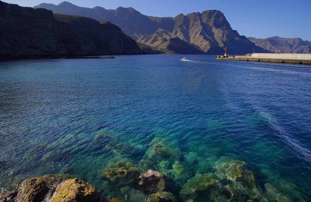 Elisabeth Vacation La Palmita