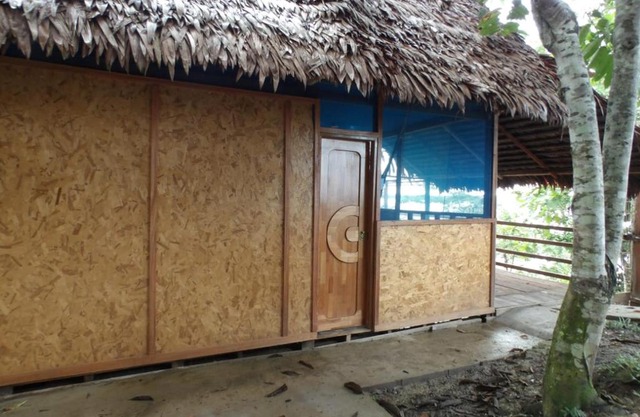 Emerald forest expeditions and tours