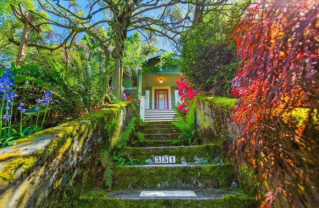 Enchanted Path to a Gardenscape