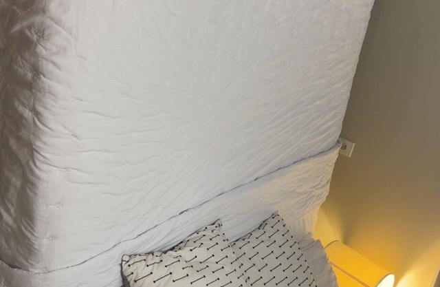 Entire 1BR House w/spacious driveway