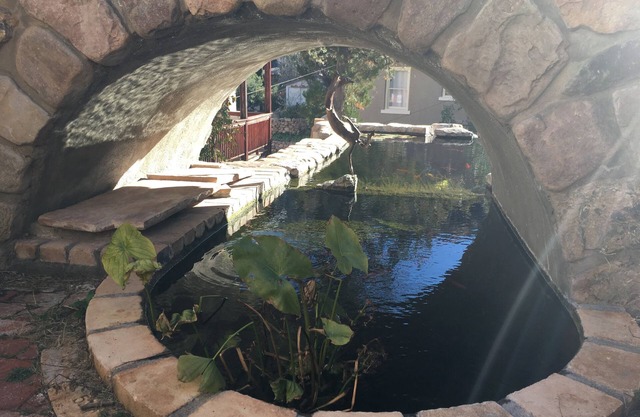 Entire Mermaid Castle with Giant Koi Ponds in Downtown Bisbee