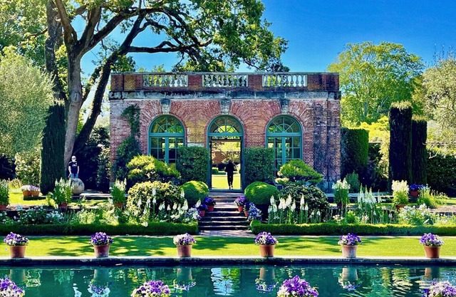 Entire Mountain Cottage Home - Restaurants, Amazing Hiking & Biking Trails