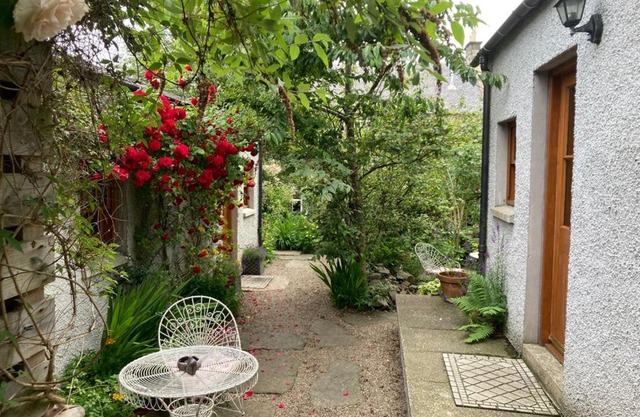 Entire unique tiny house - Moss Cabin