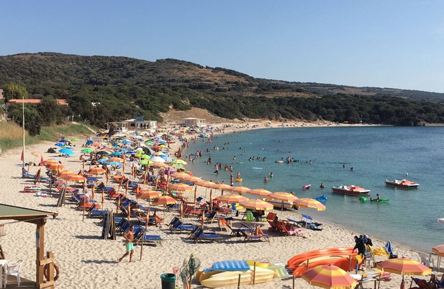 Equipped one-bedroom apartment with charming sea view, shared pool and washing machine