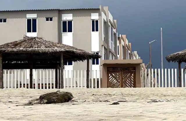 Escapate mirando el Mar Beach Front Apt Playas Ecu