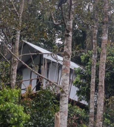 Escape Leuser Glamping