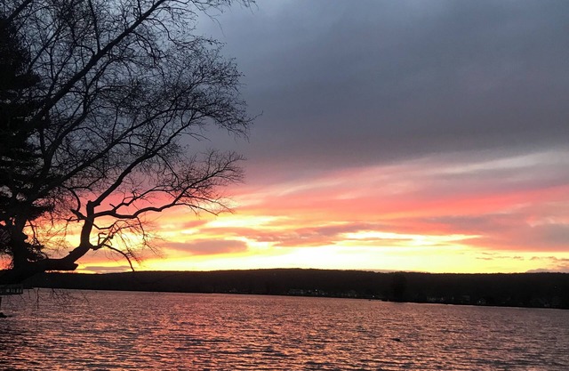 Escape to Caladan Cottage! Cozy pet-friendly lake house: AC, multi-beach access.