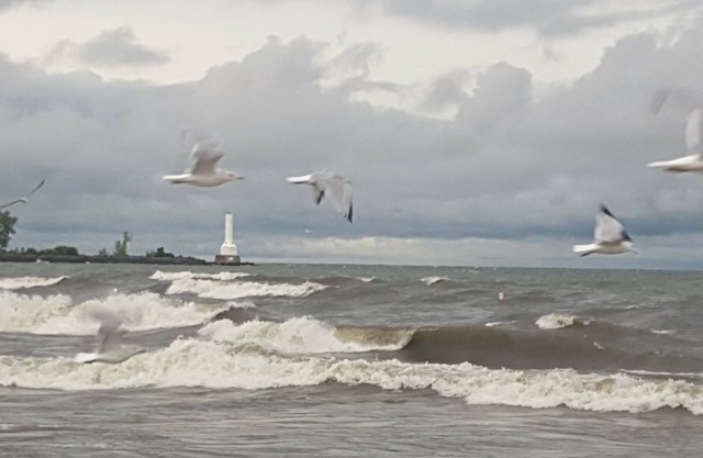 Everything you need for a beach vacation!