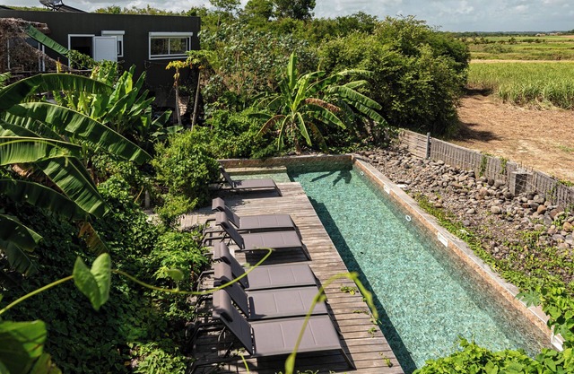 Exceptional panorama over the sugarcane fields and the hills of Basse-Terre