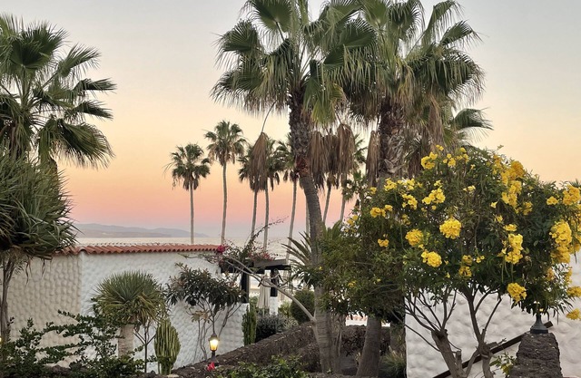 Exclusive apartment under palm trees right by the sea