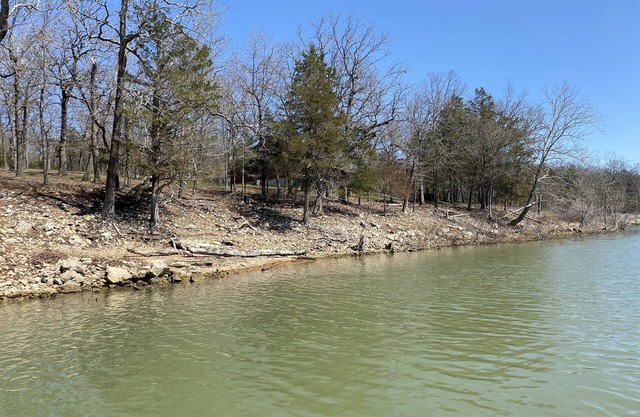 Experience serene Table Rock Lake & forest views from your 6-bedroom retreat