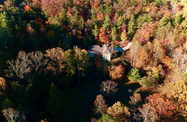 Explore, Relax: Mountain House, Yahoola Creek, Cherokee Forest