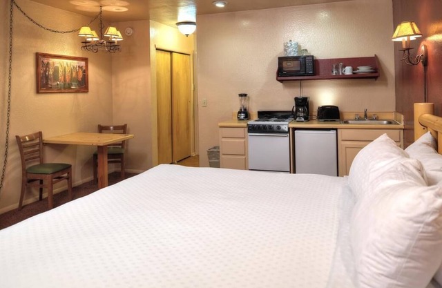 Explore the Desert Landscape! 2 Amazing Studios, Trails, Horseback Riding