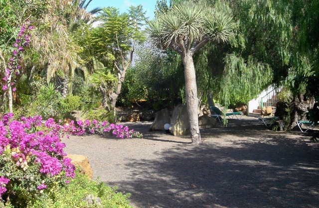 Extended and restored finca - good equipment - 2000 sqm garden