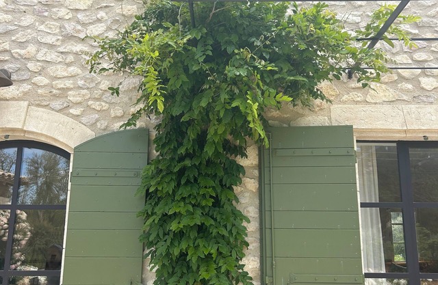 Eygalières - Maison de Famille, Au Pays des Alpilles