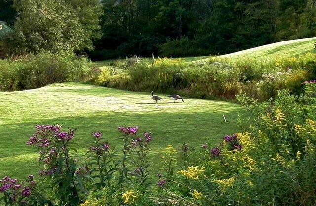 Fall Peak Colors NOW! L.Cabin, HotTub under Cabana, Mtn View, 1 mile to Lake