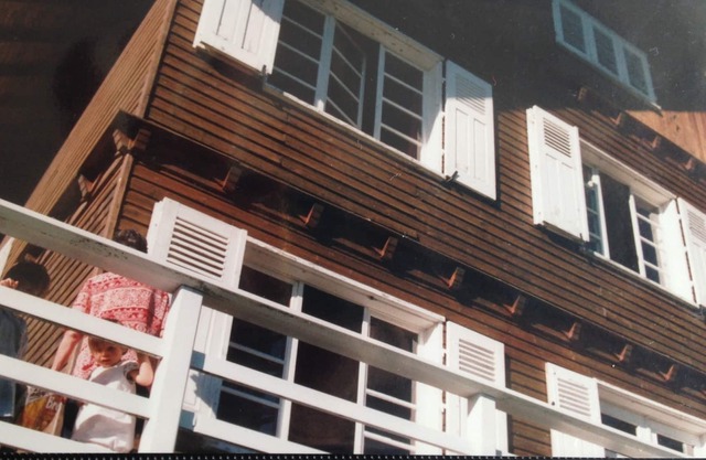 Family chalet 6 ch on 2 ha 3 km from Puy de Dome