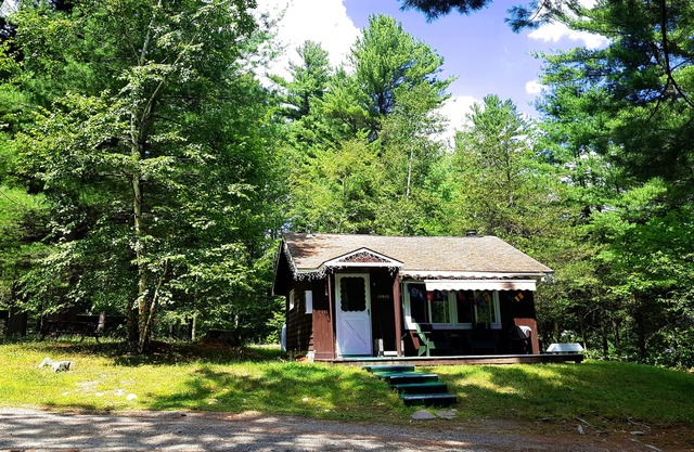Family Chalet with Fireplace under Pine trees
