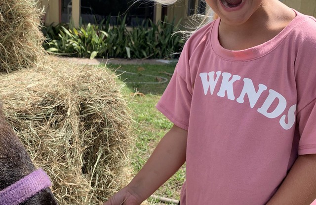 FAMILY FUN DISNEY HOME NEAR MELBOURNE AIRPORT