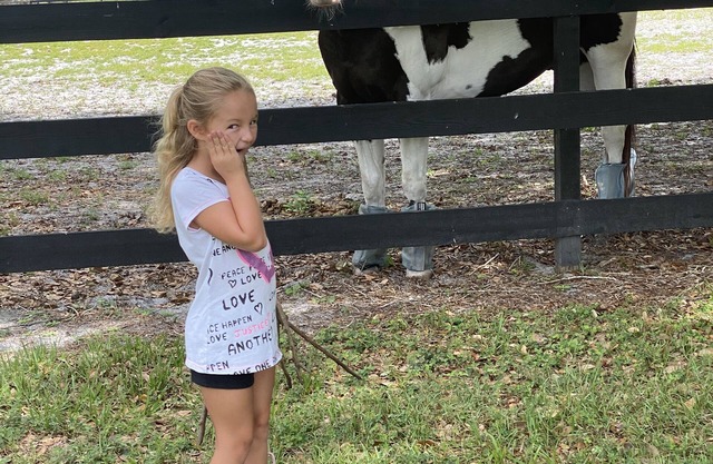 FAMILY FUN FARM NEAR MELBOURNE AIRPORT & DISNEY