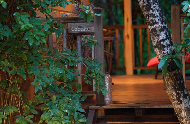 Family fun. The star cabin