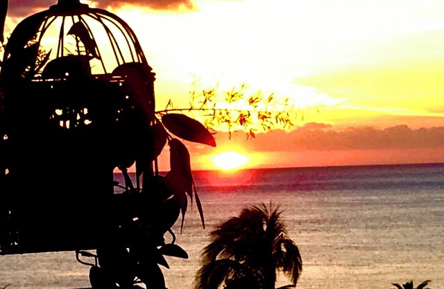 Fantastic sea View in Pelican Key