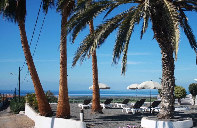 Farmhouse Finca Delicias Brier