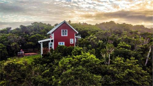 Farmstay at off-grid self sufficient Heartwood Homestead