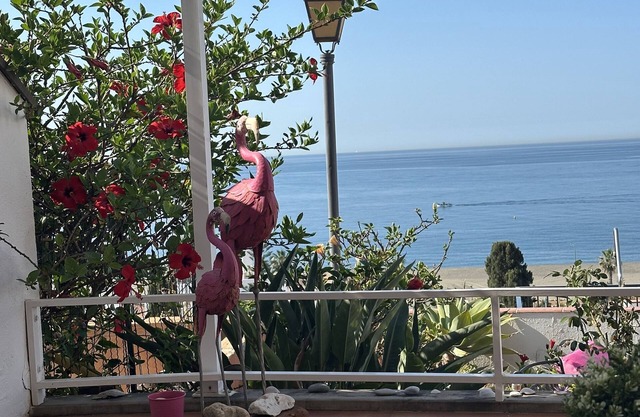 Feel-good atmosphere with a fantastic sea view