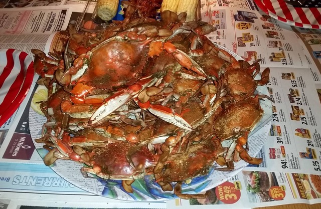 "FENWICK ISL. WATERFRONT VACATION HOME AT THE BEACH W/BOAT DOCK, RAMP & POOL""