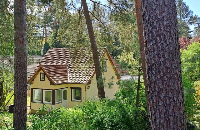 Ferienhaus Waldmeister, Direkt am Wald und 400m zum See