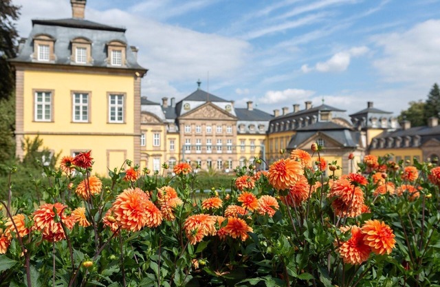 Ferienwohnung/app. für 8 Gäste mit 96m² in Bad Arolsen
