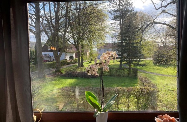 Ferienwohnung Parkblick